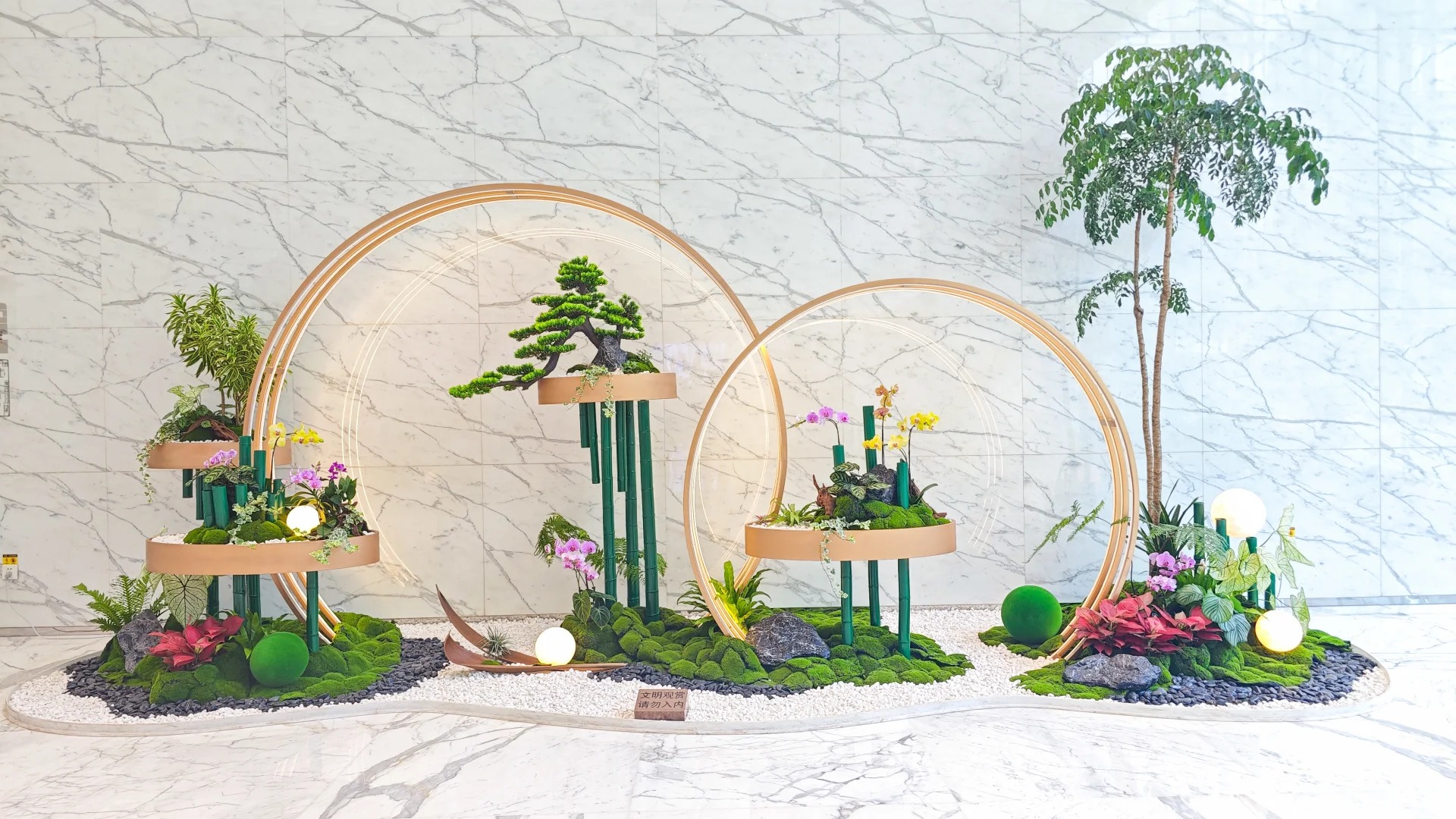 探寻宁波前湾绿植出租价格，结果太意外！