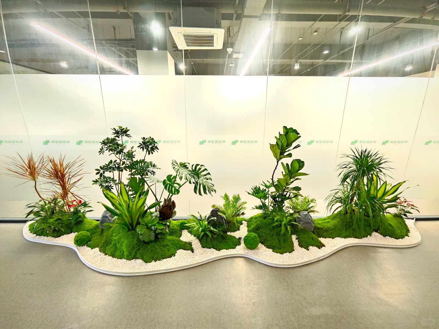 前湾绿植出租哪家值得？深度攻略快收藏！