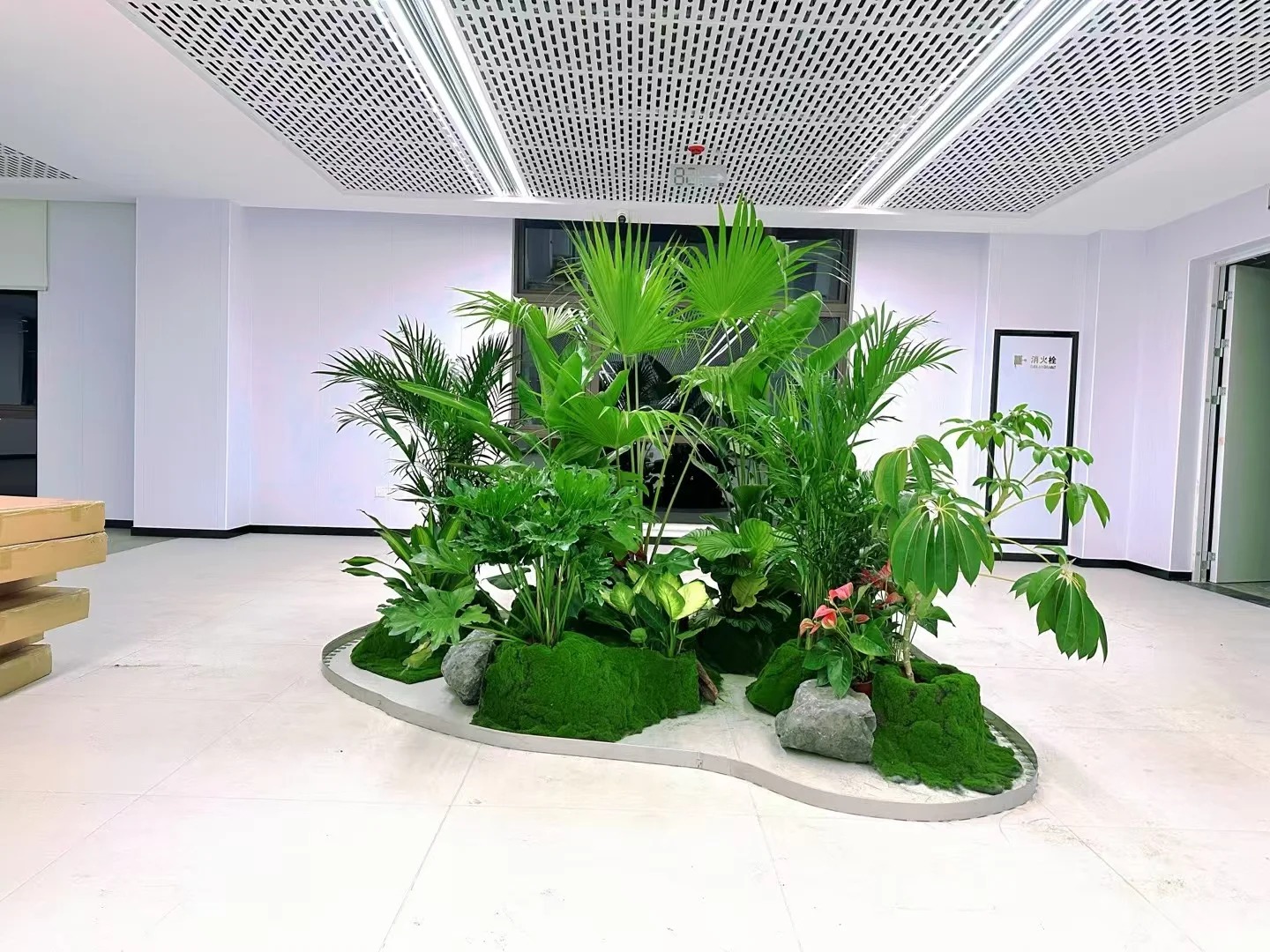 宁波余姚花木租摆公司