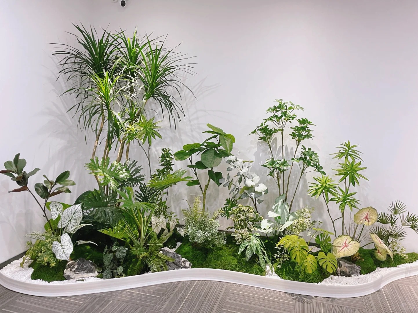 江北植物租摆服务哪家好？这家口碑爆棚！