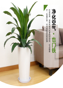 鄞州绿化修剪价格实惠